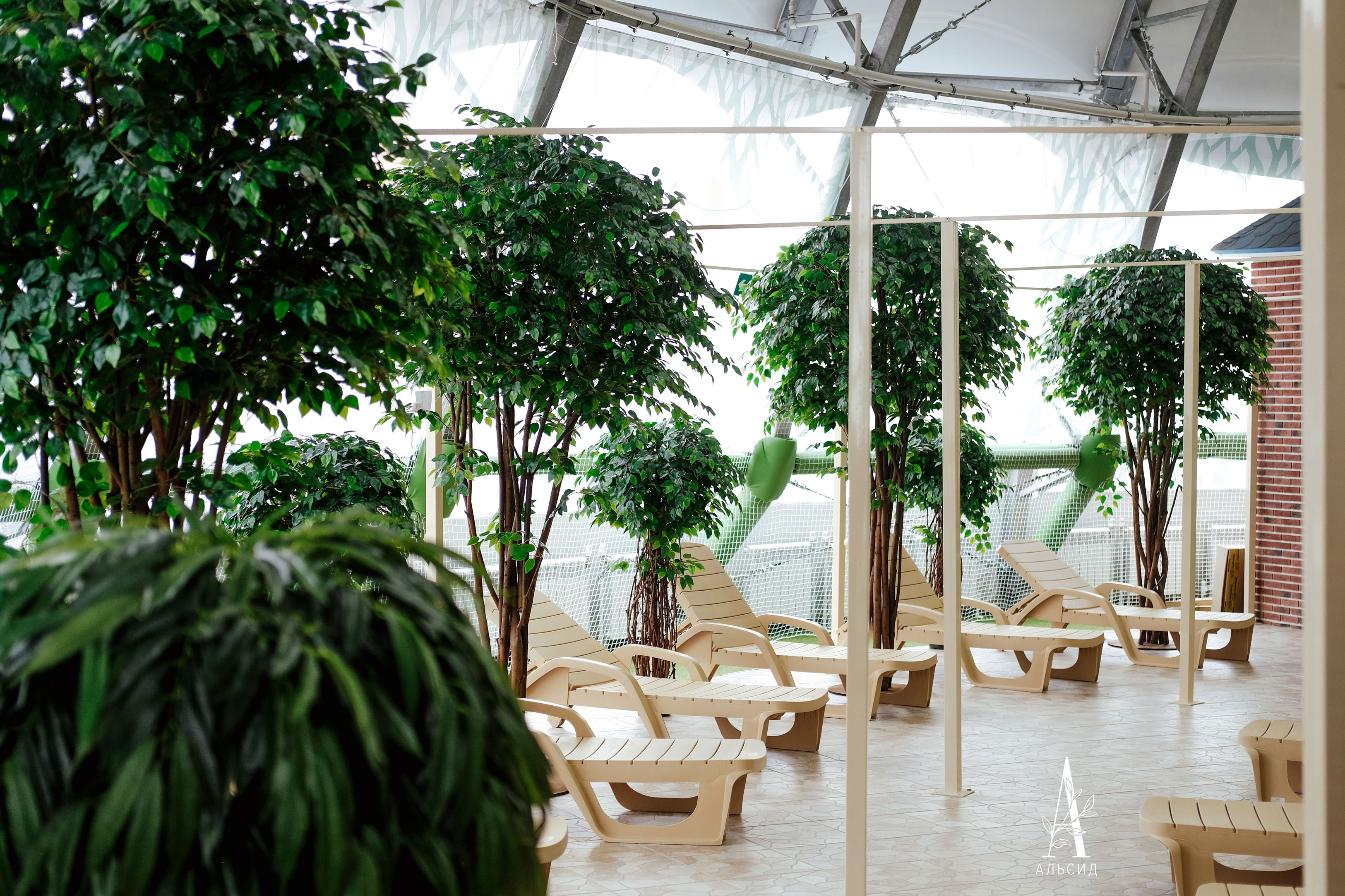 160/ССТК/ВП/34(УУ)(Пр) Фикус искусственный h160см (латекс)_5