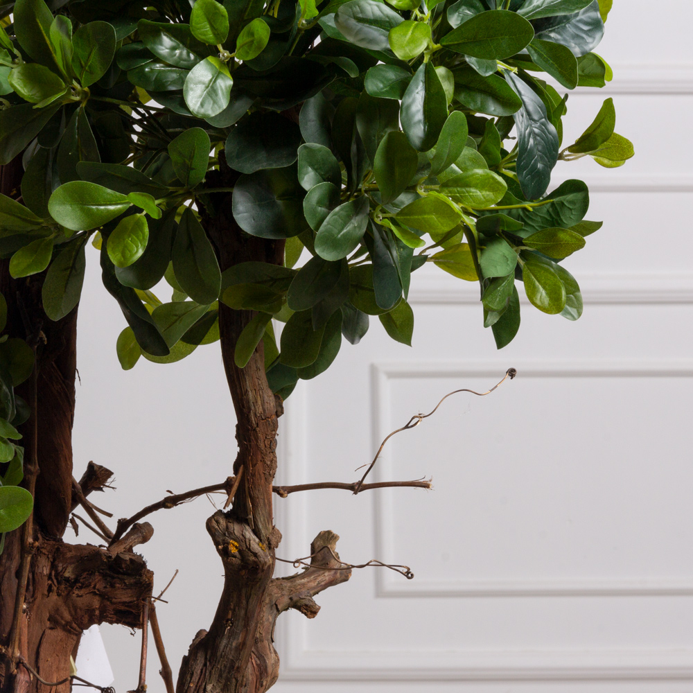 160/3К/ОС/КОР/204(Пр)(F) Питтоспорум искусственный горный h160см (латекс)_2