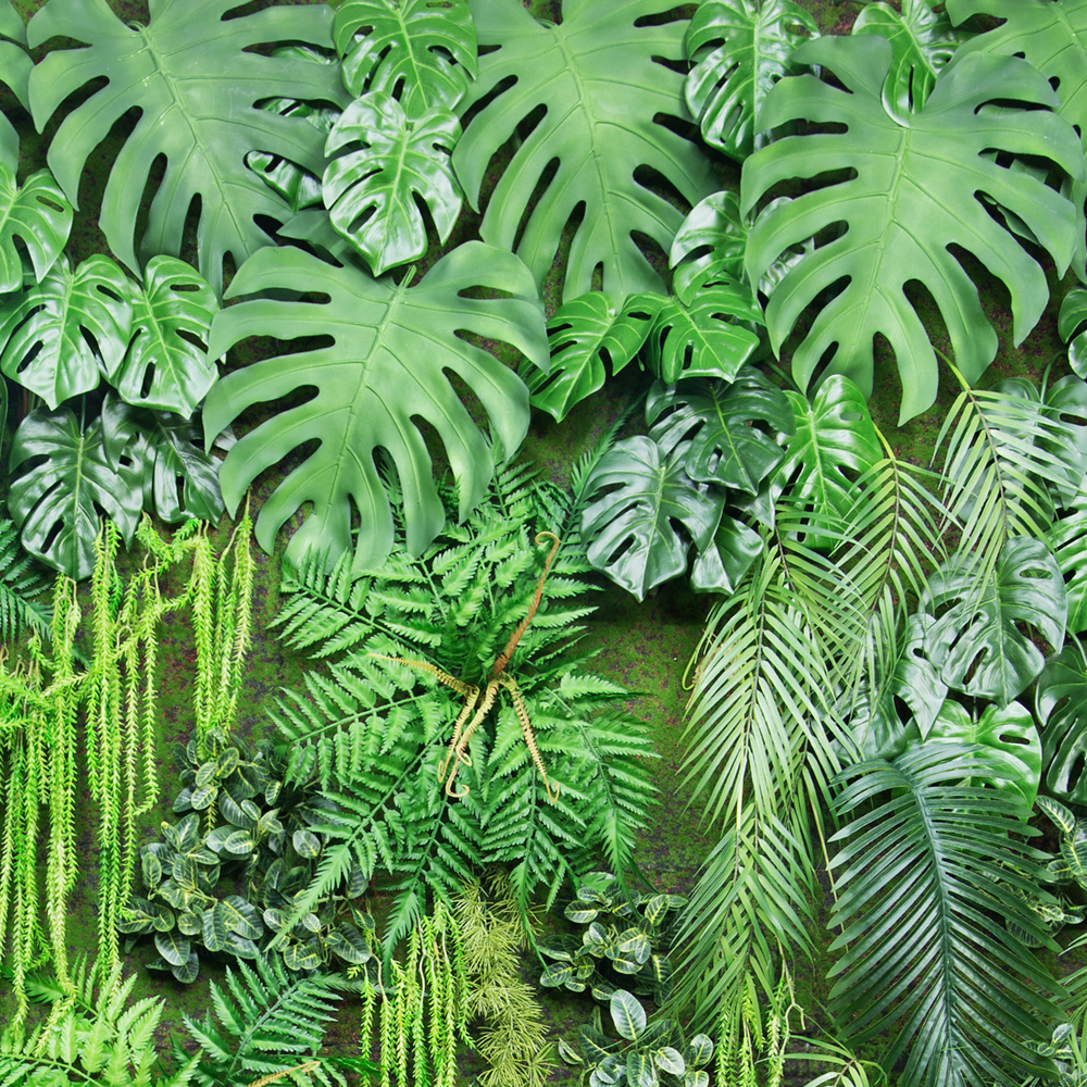 Фитостена 52-1(з.) _2