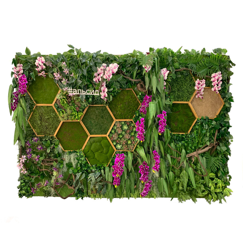 Фитостена 101