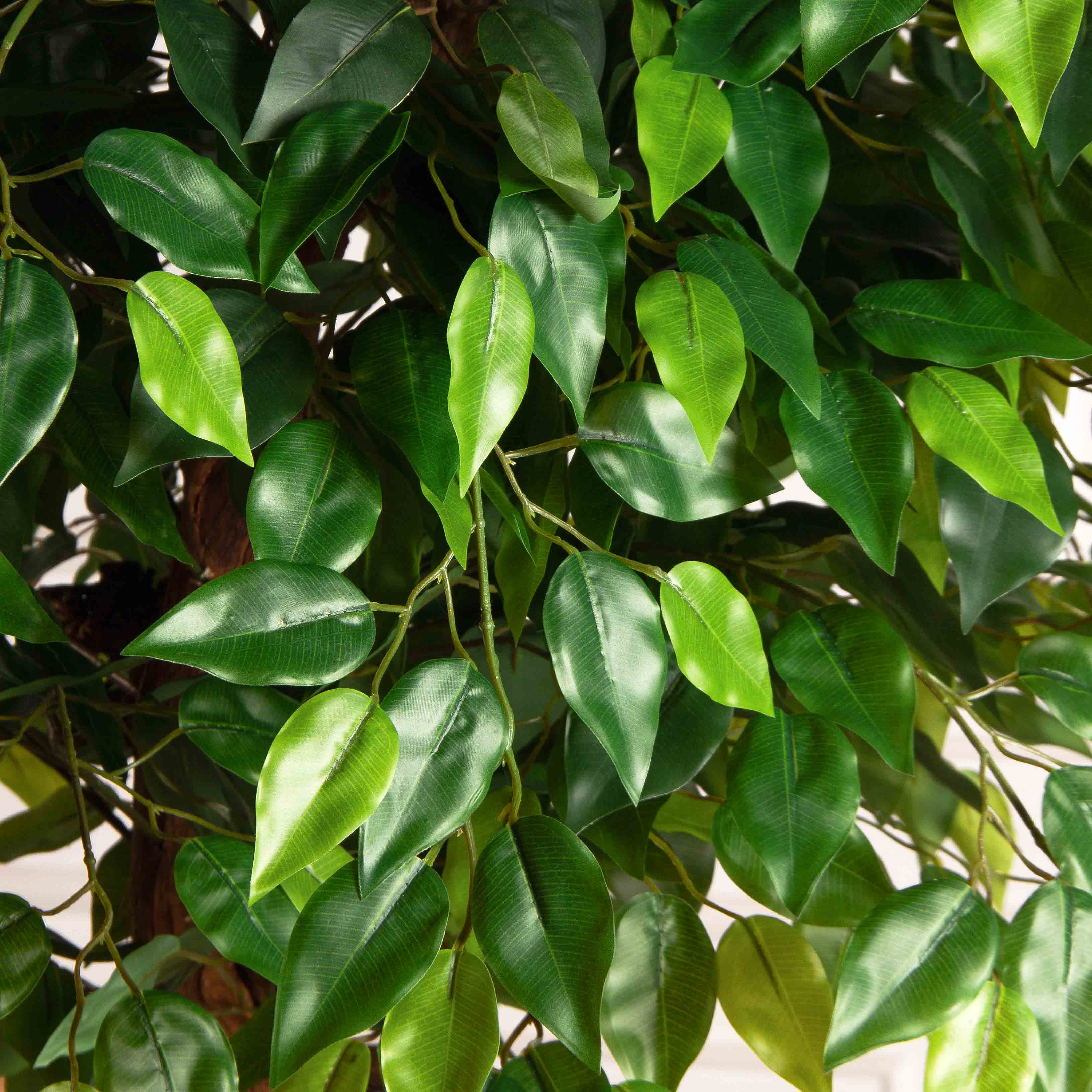 180/ОС/34(F) Фикус искусственный h180см (латекс)_3