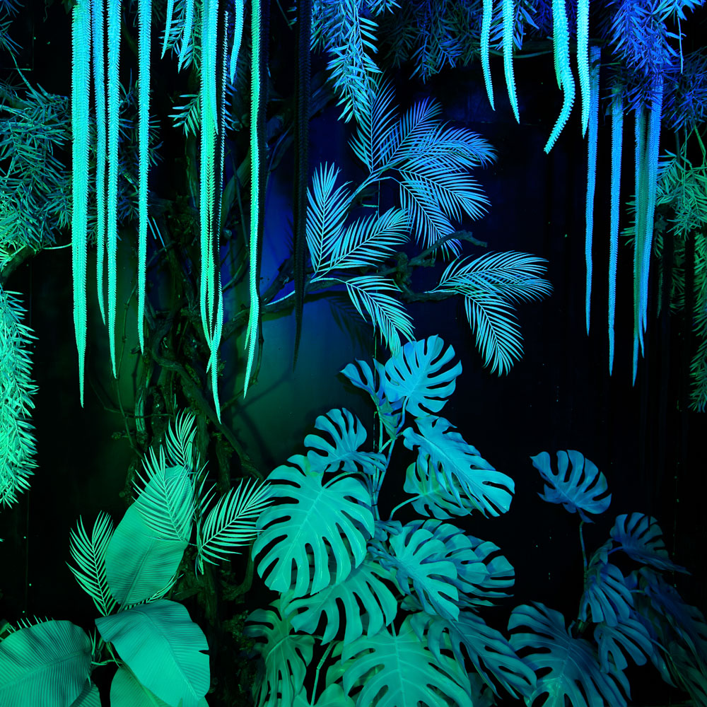 Фитостена 104_2