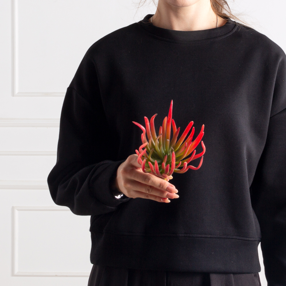 7143/9165-15/2(F) Суккулент искусственный  Эхеверия игольчатая, красная_2