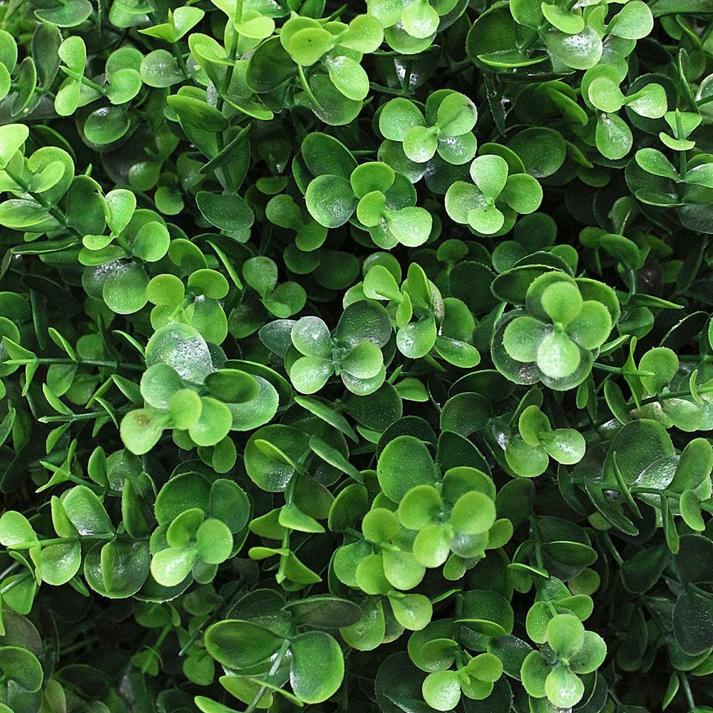 СШ45/228-5 Самшит-шар эвкалиптовый 