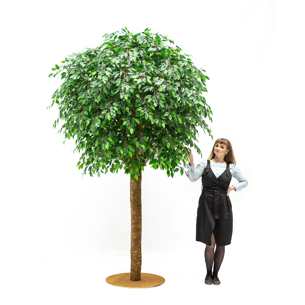 270/РН/34-1(з.)_1