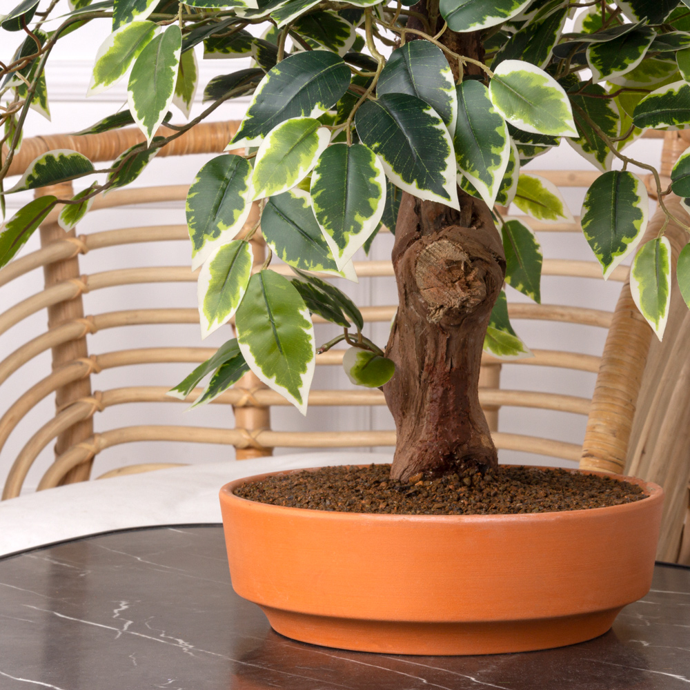 БЛ035/08-1(з) Бонсай искусственный Фикус (латекс) h35см_3