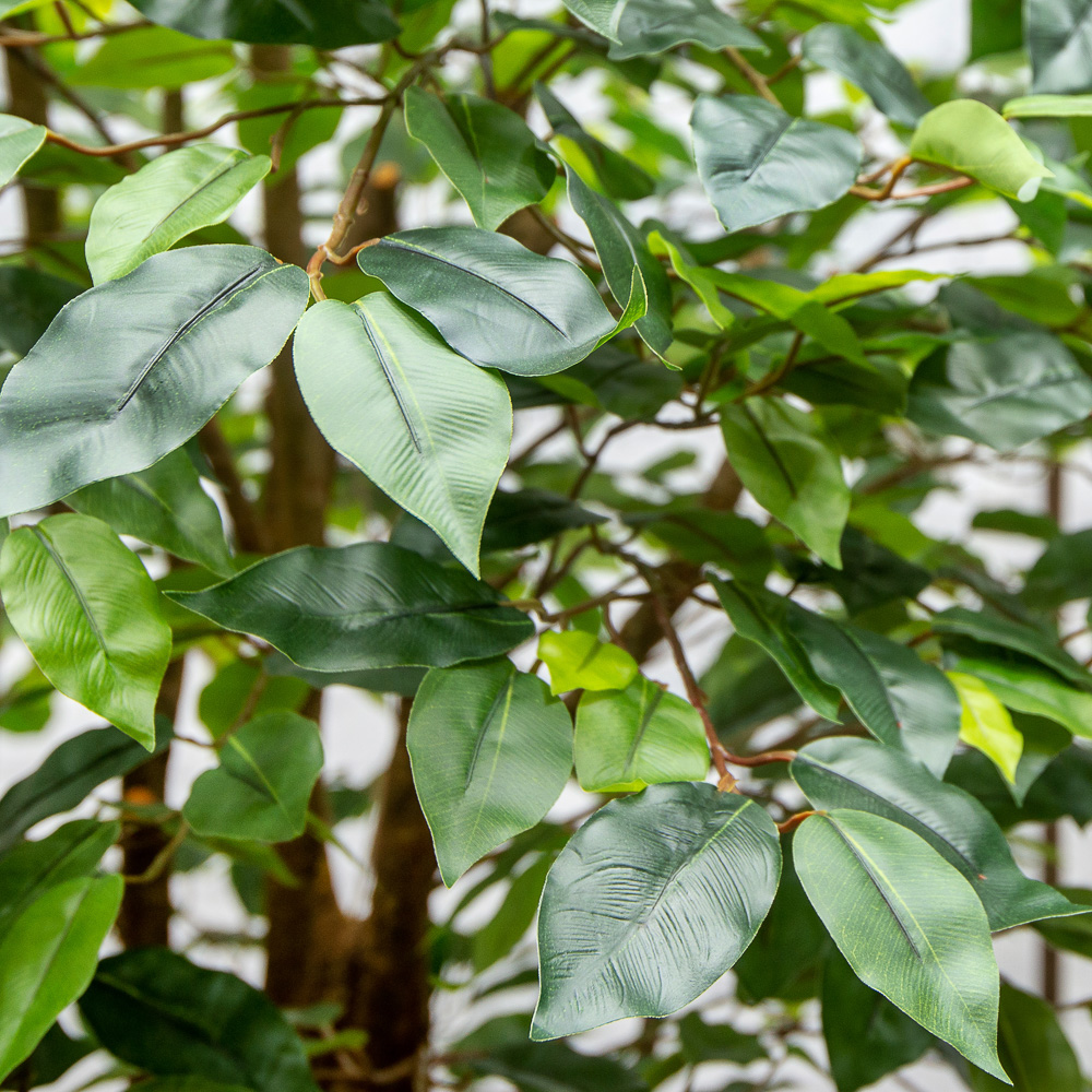 200/РН/34-2(з.)_2