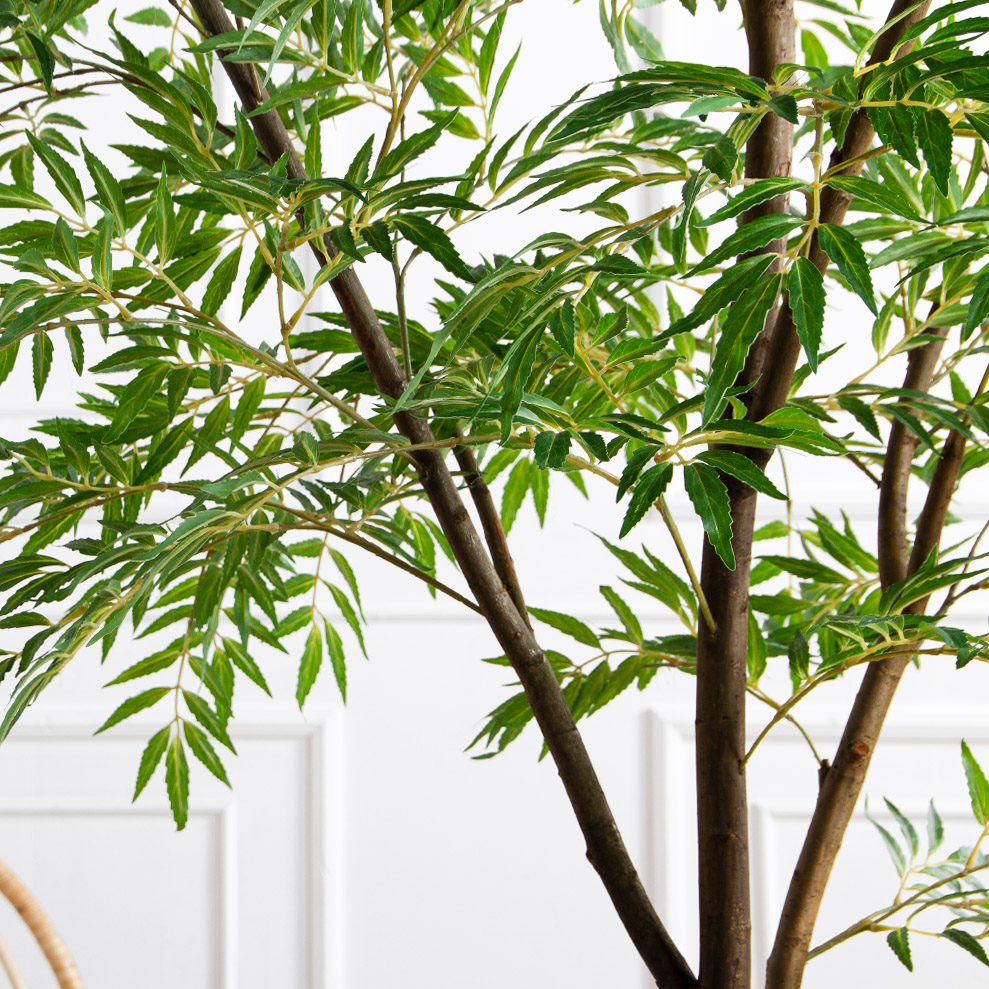 200/РН/ОК/700(Пр)(F) Магония искусственная h200см,(латекс)_5