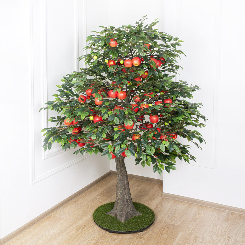 Цветущие и плодовые