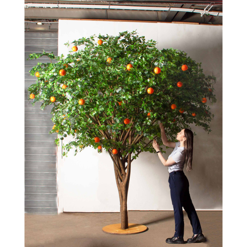 300/РН/84-1(з)(F) Шефлера искусственная h300см d330 на основании d75см, латекс_1