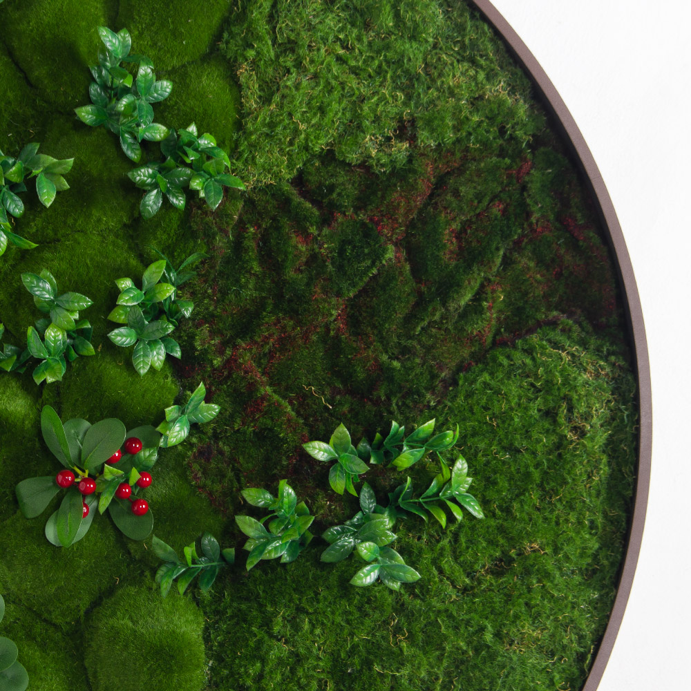 ФП20-4(з)(F) Фитопанно искусственное d100см в светлой раме_6