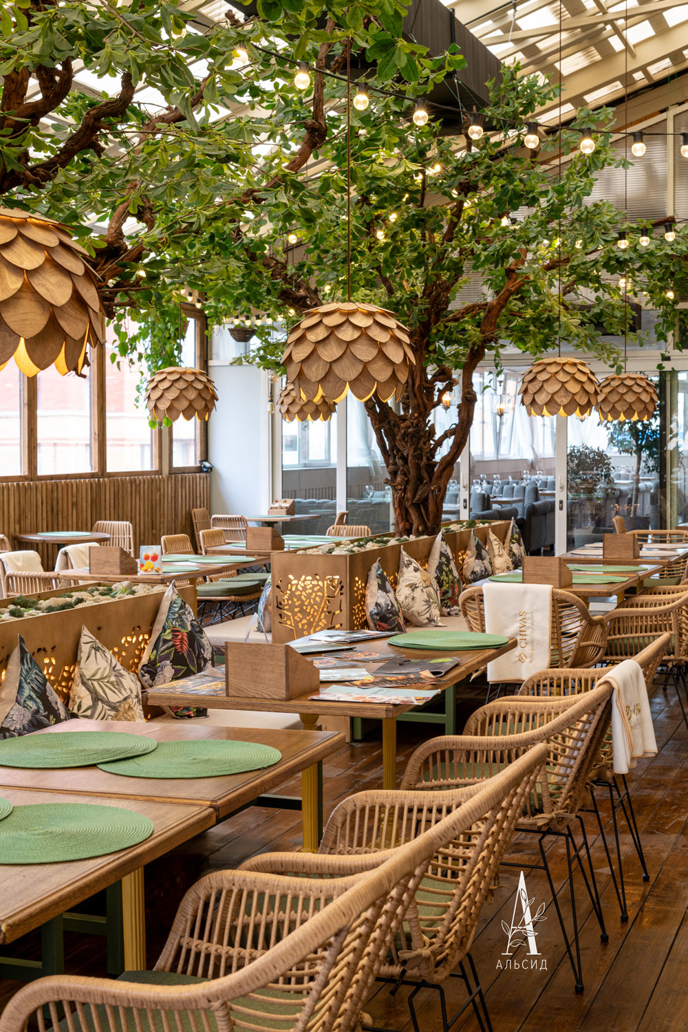 Л/ОС/04(F) Шеффлера искусственная на оригинальном стволе L100см_3