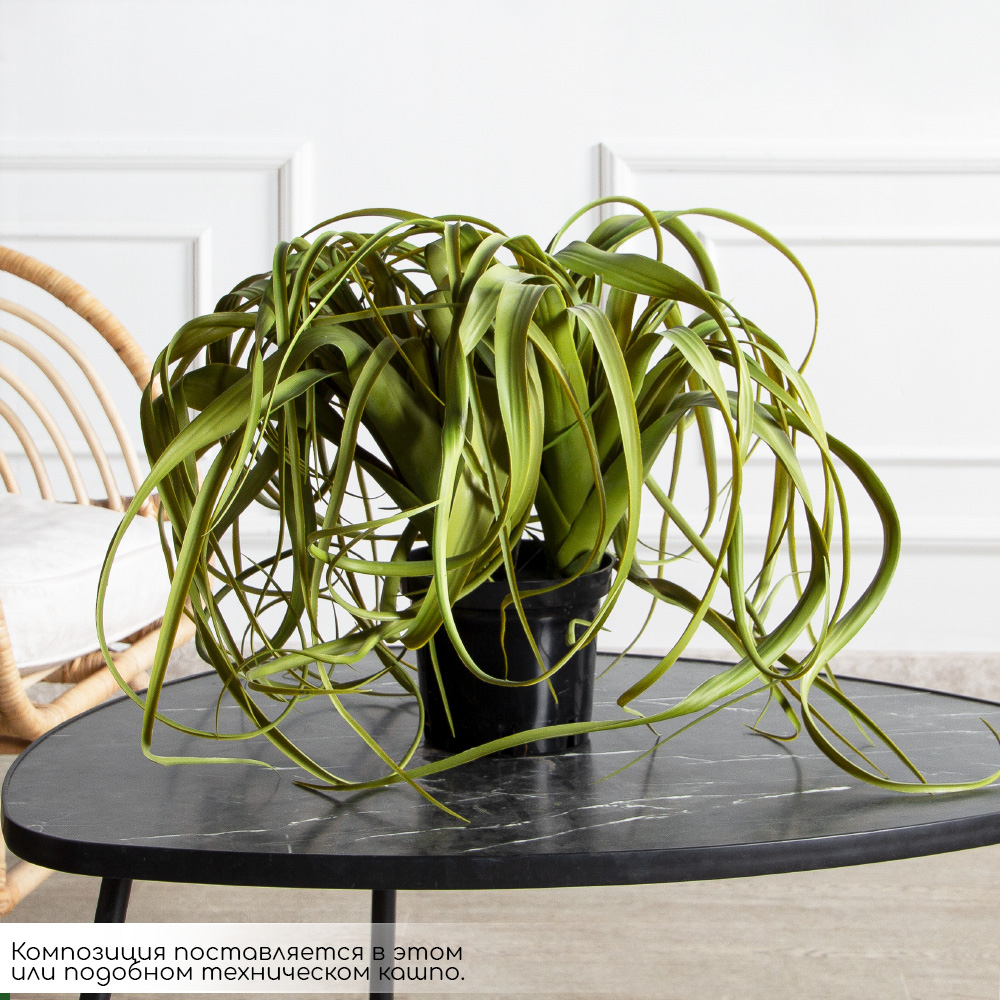 К571(з)(F) Композиция искусственная с тилландсией в кашпо_2