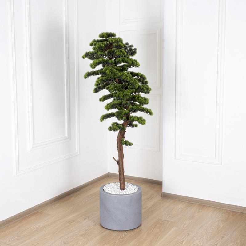 160/ОС/230 Бонсай сосна h160см_5