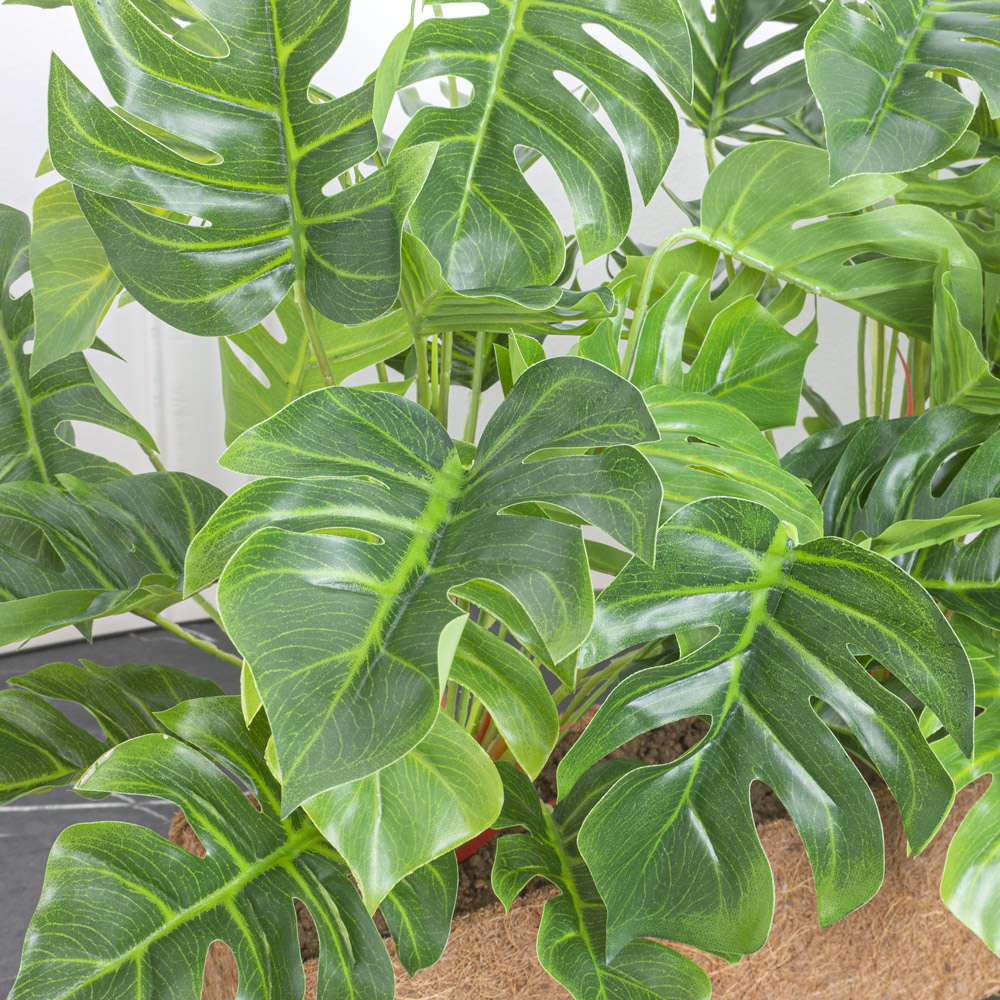 ТД083 Композиция искусственная Монстера(латекс) в кокосовом боксе 50х10х10см_3