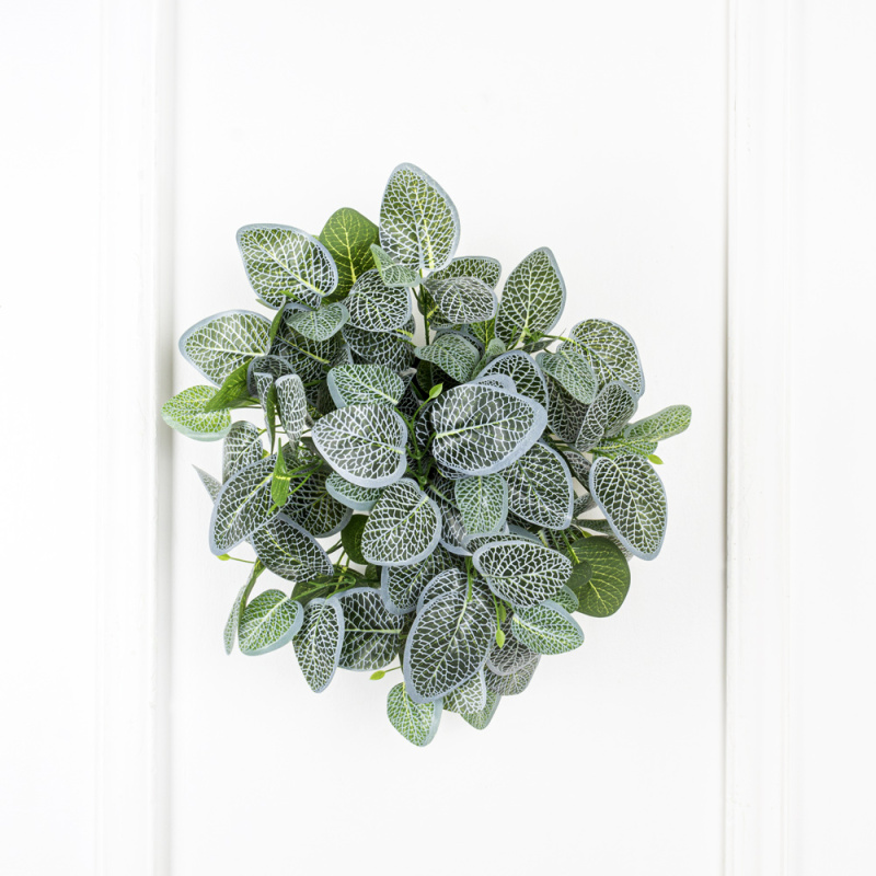 БК 41(Promo) Композиция с фиттонией на блоке 15*h10см_7