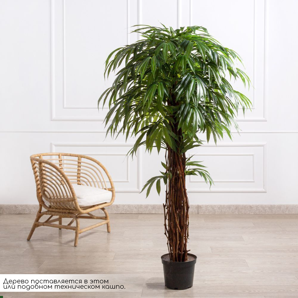 160/ССТК/ВП/219(Пр)(F) Лонгифолия искусственная h160см (латекс)_1