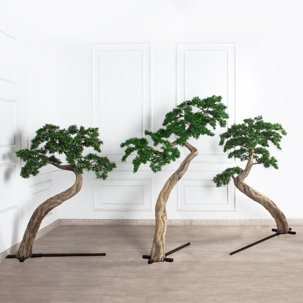 170МЕТ/АСС/241(з)(F) Подокарпус интерьерный h170 d120см_5