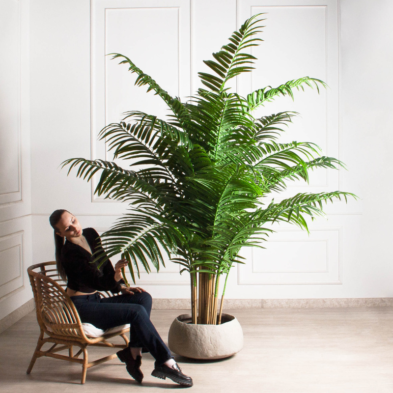 ПК250/К/49-3(з)(Пр)(FixK)(F) Пальма искусственная кустовая h250см (латекс)_1