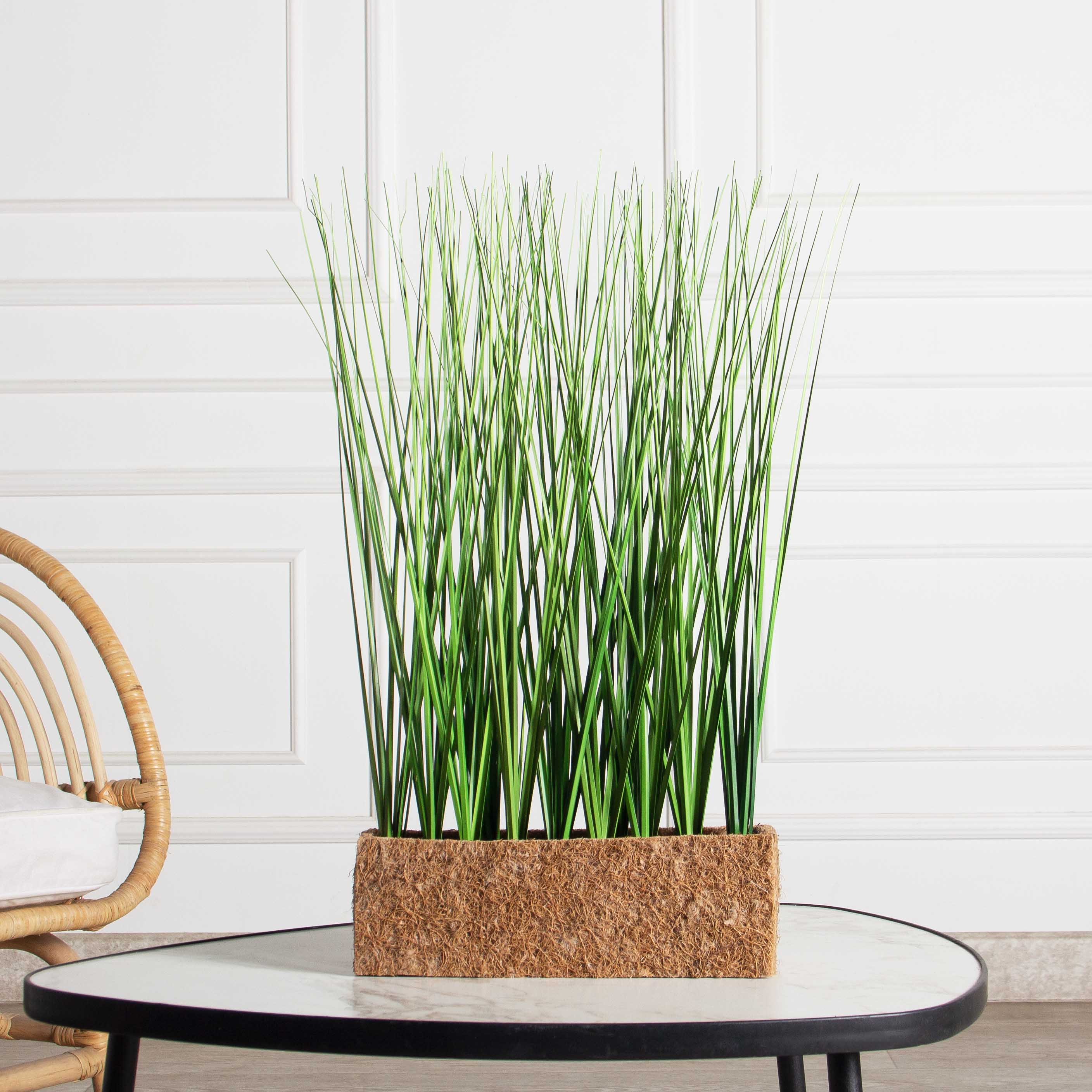 ТД019(Пр)(F) Трава Осока искусственная h40см в кокосовом боксе 25х8х8см_2