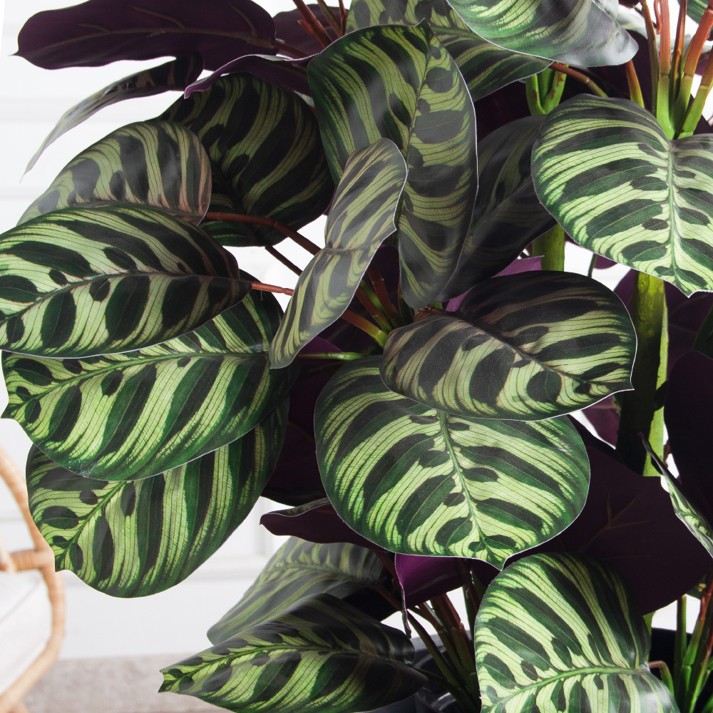 070/К/206(Пр)(F) Калатея искусственная h70см, зелено-фиолетовая_3
