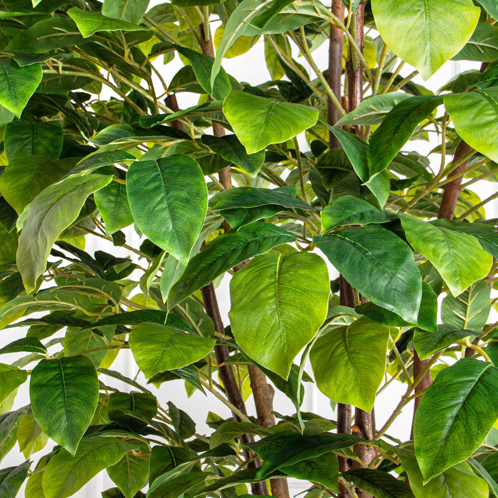 250/РН/537(з)(F) Липа искусственная h250см в кашпо (латекс)_6