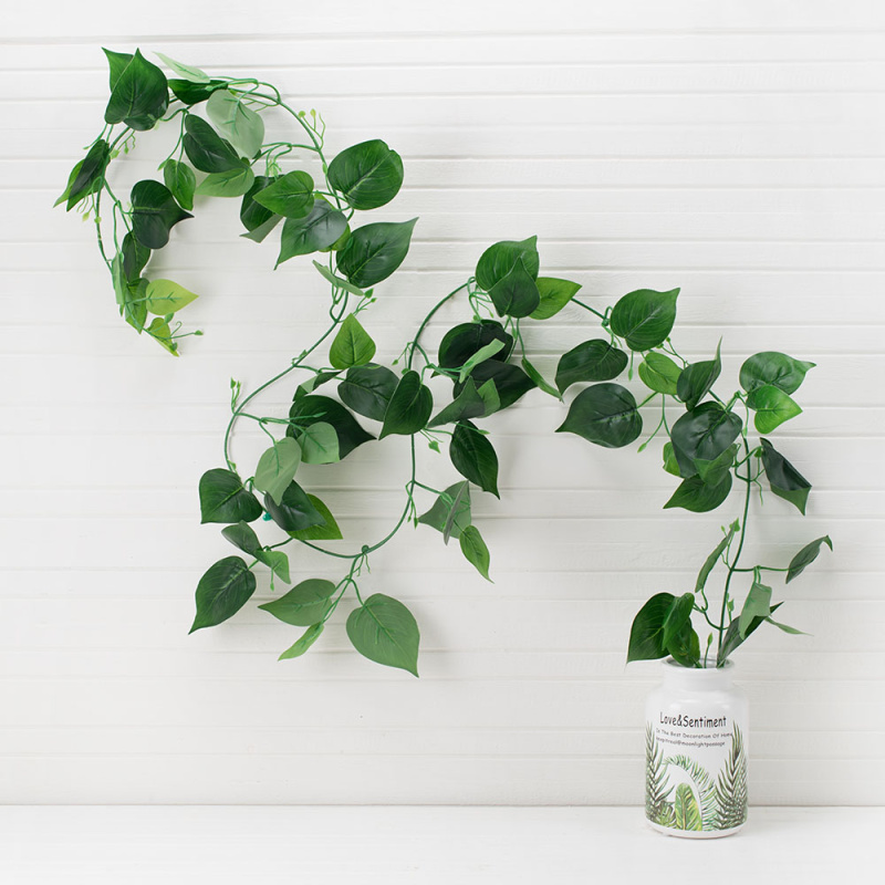 7144/0228-9Р Лиана сциндапсус (крупный лист) h-200см