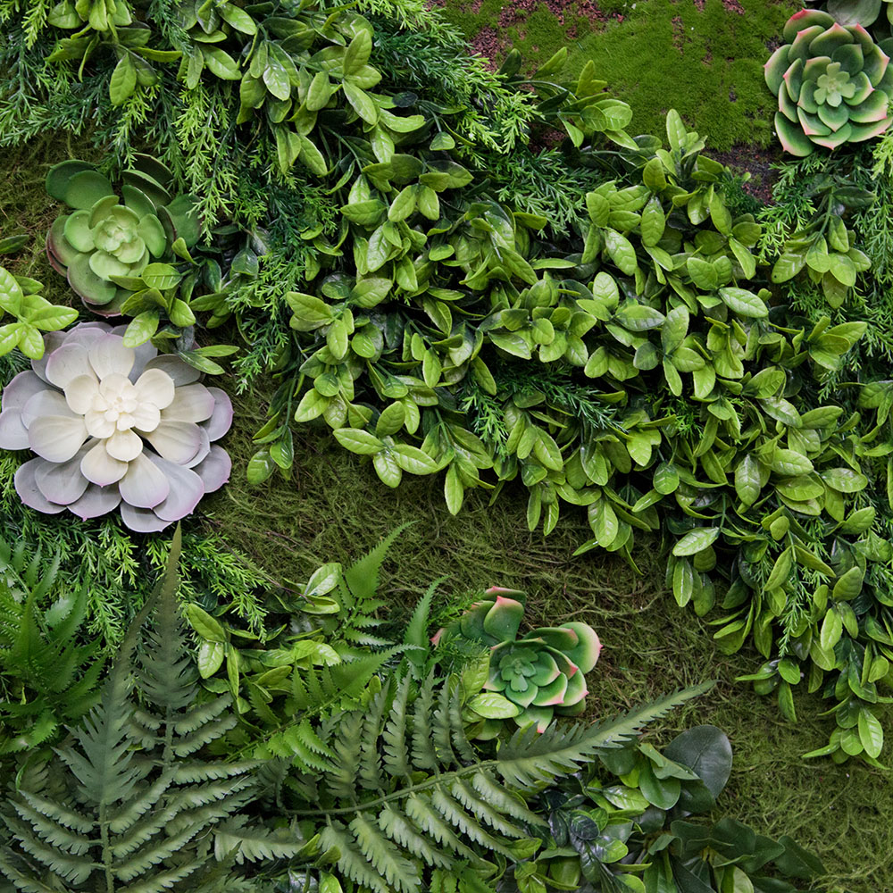 Фитостена 110_2