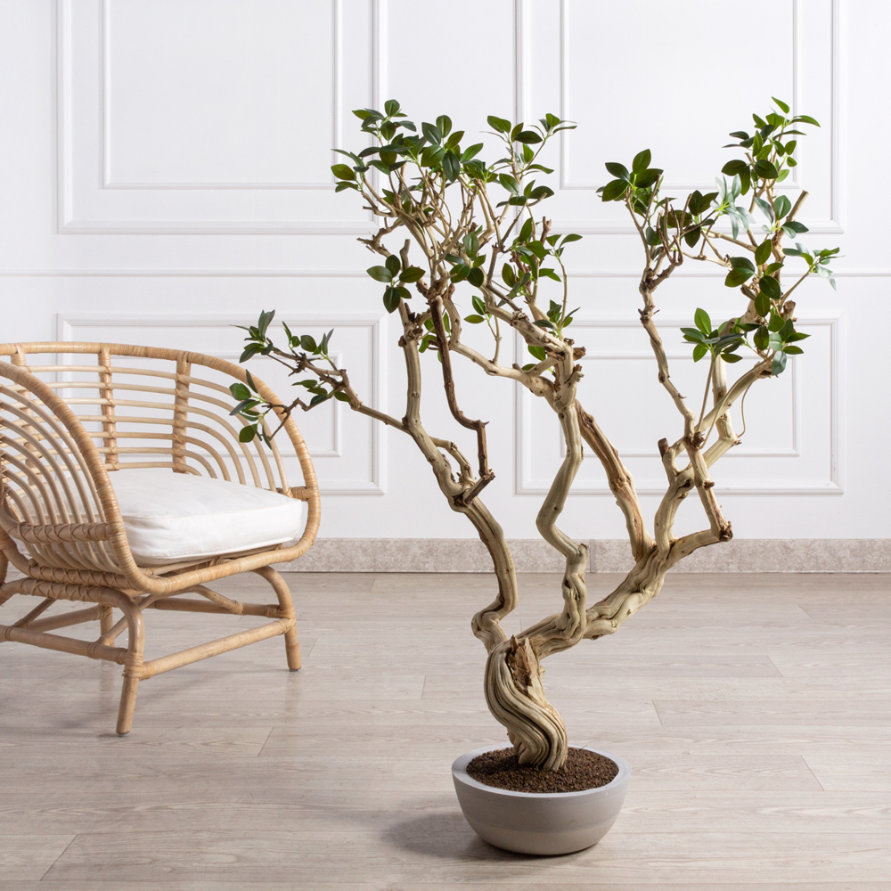 БЛ110/Д3/516ИК(Пр)(F) Бонсай искусственный Фикус Микрокарпа h110см в интерьерном кашпо_6