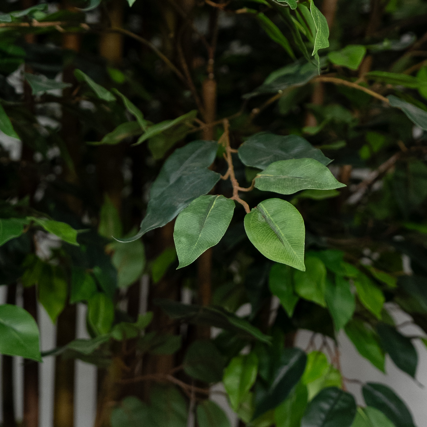 350/РН/34(з) Фикус искусственный h350см_2