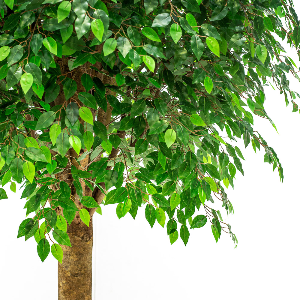 270/РН/34-1(з.)_2