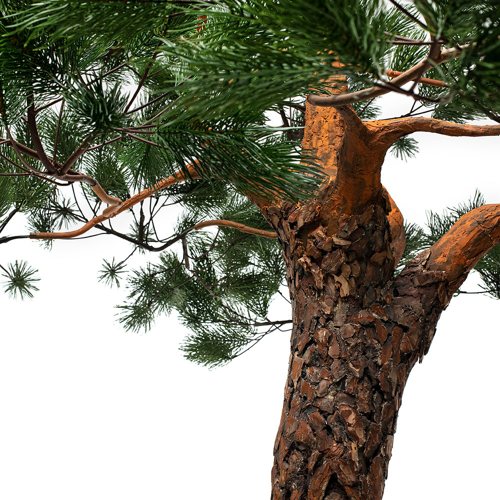 250разб/нат/224(з.) Сосна с натур.корой h-250см_2