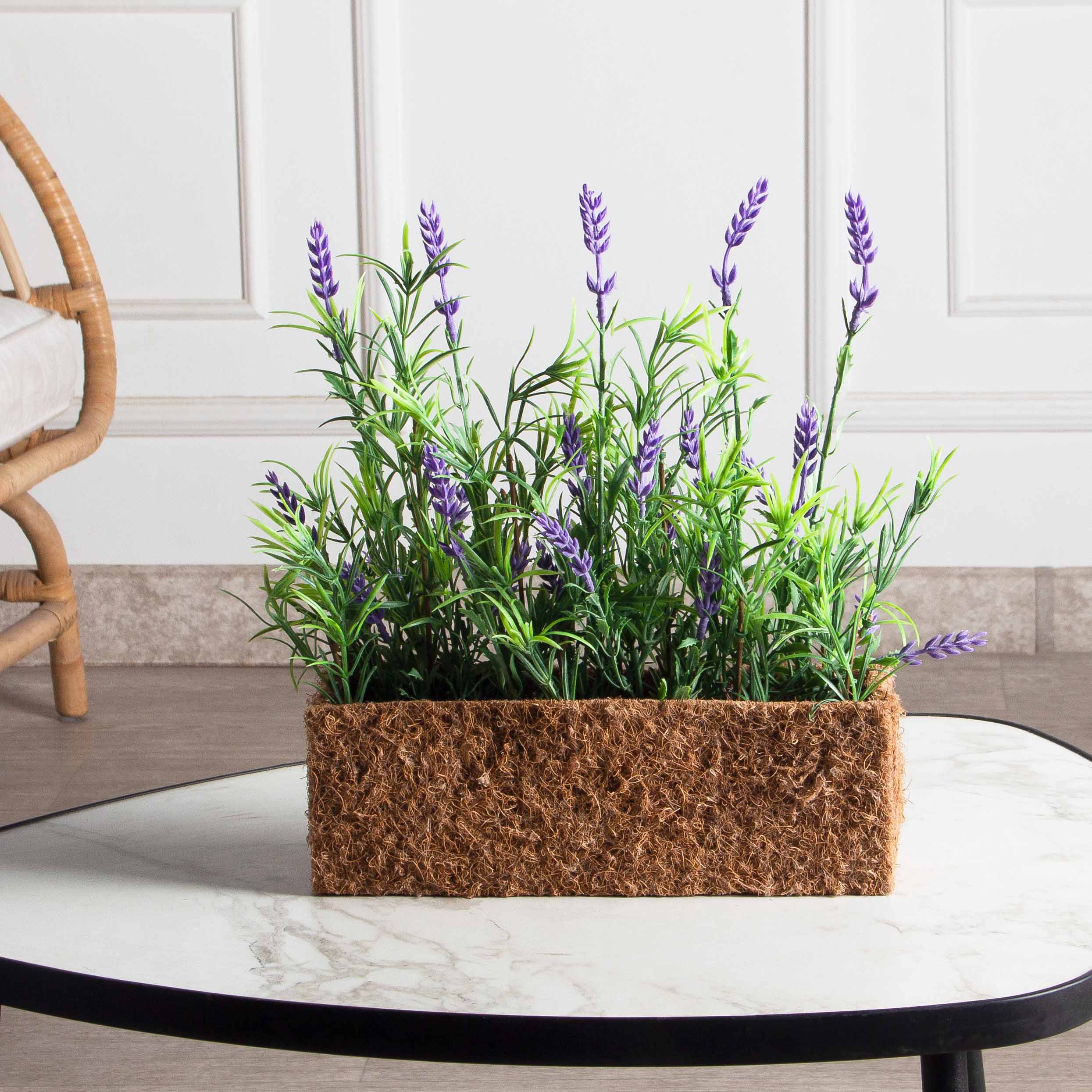 ТД026(F) Лаванда искусственная h20см в кокосовом боксе 25х8х8см_2