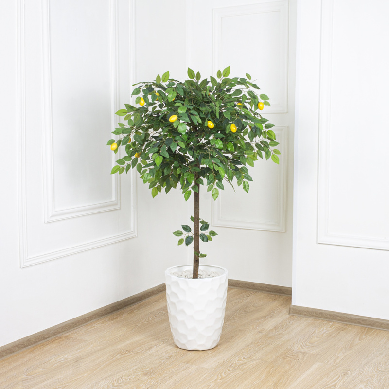 БП 110/41 Бонсай плодовый Лимон-мини h110см(латекс)_7