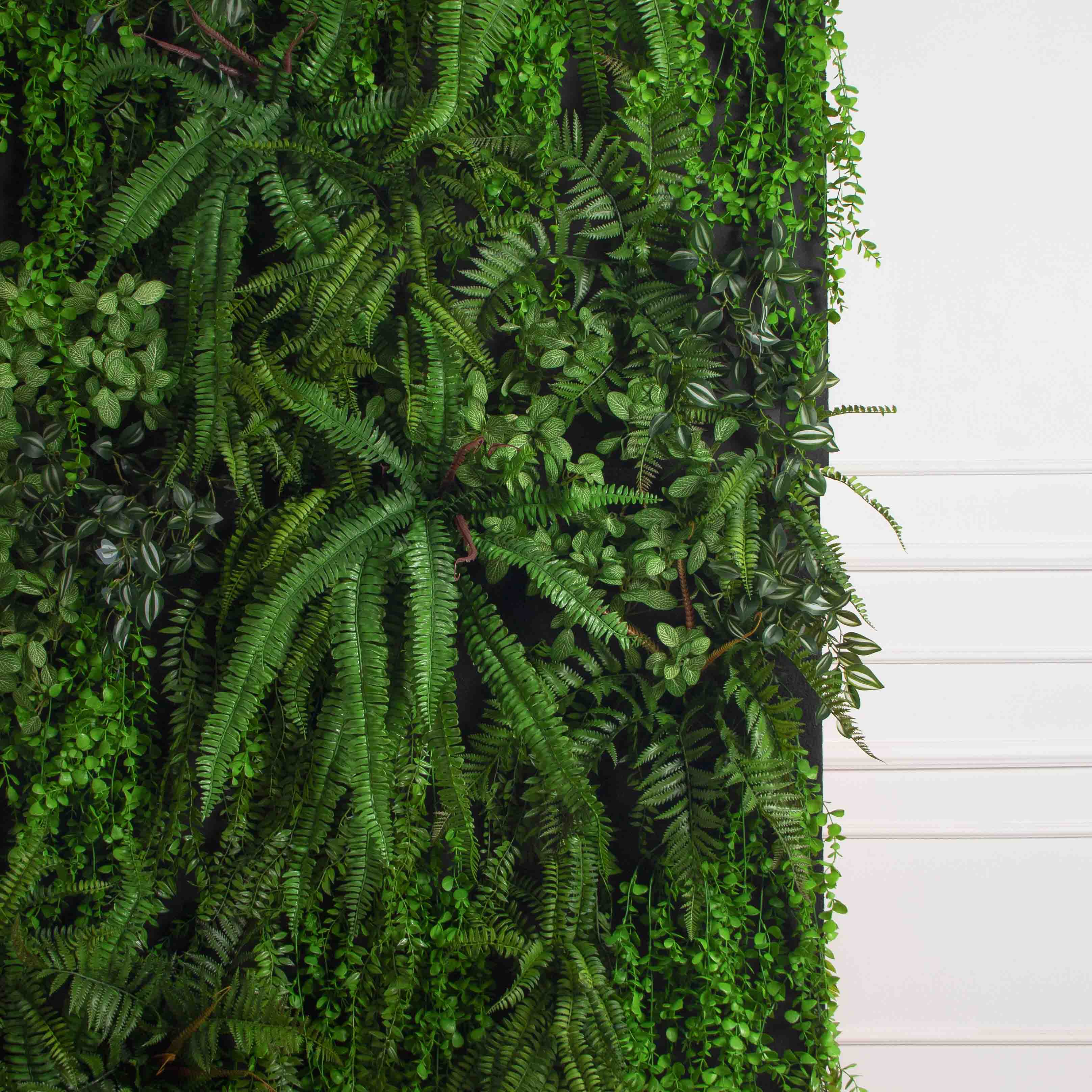 ФТС179(Пр)(F) Фитостена,  за 1кв.м_10