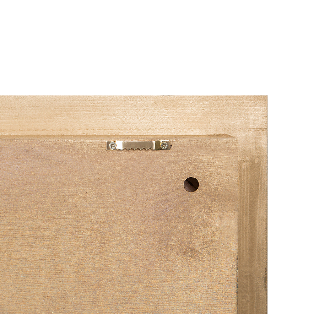 СКФ08(з.) Фитокартина с суккулентами в золотой раме 60*80_4