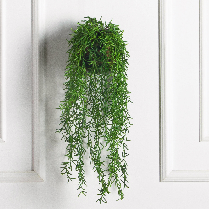 ККД35/209(з.)(F) Кокедама с ампельным аспарагусом на шаре d15см_1