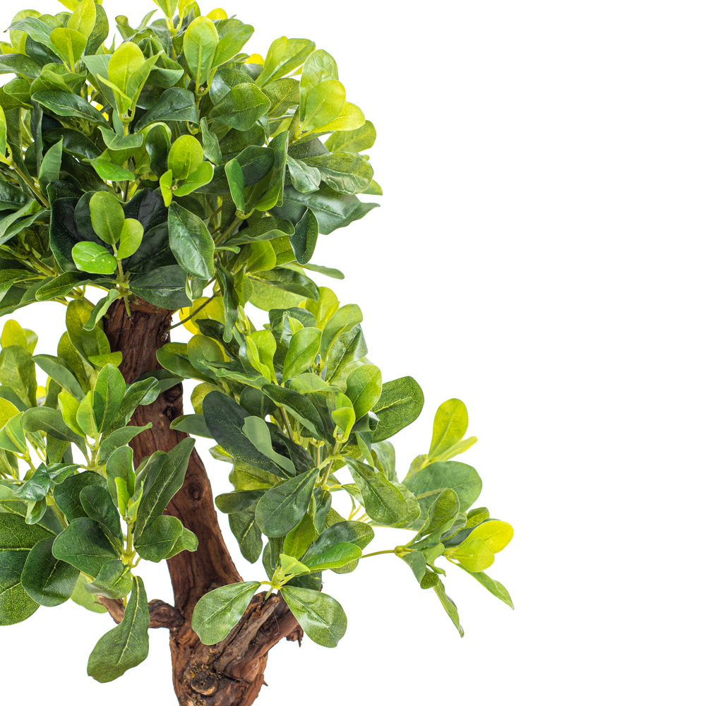 БЛ50/3К/204-1(з.)_1