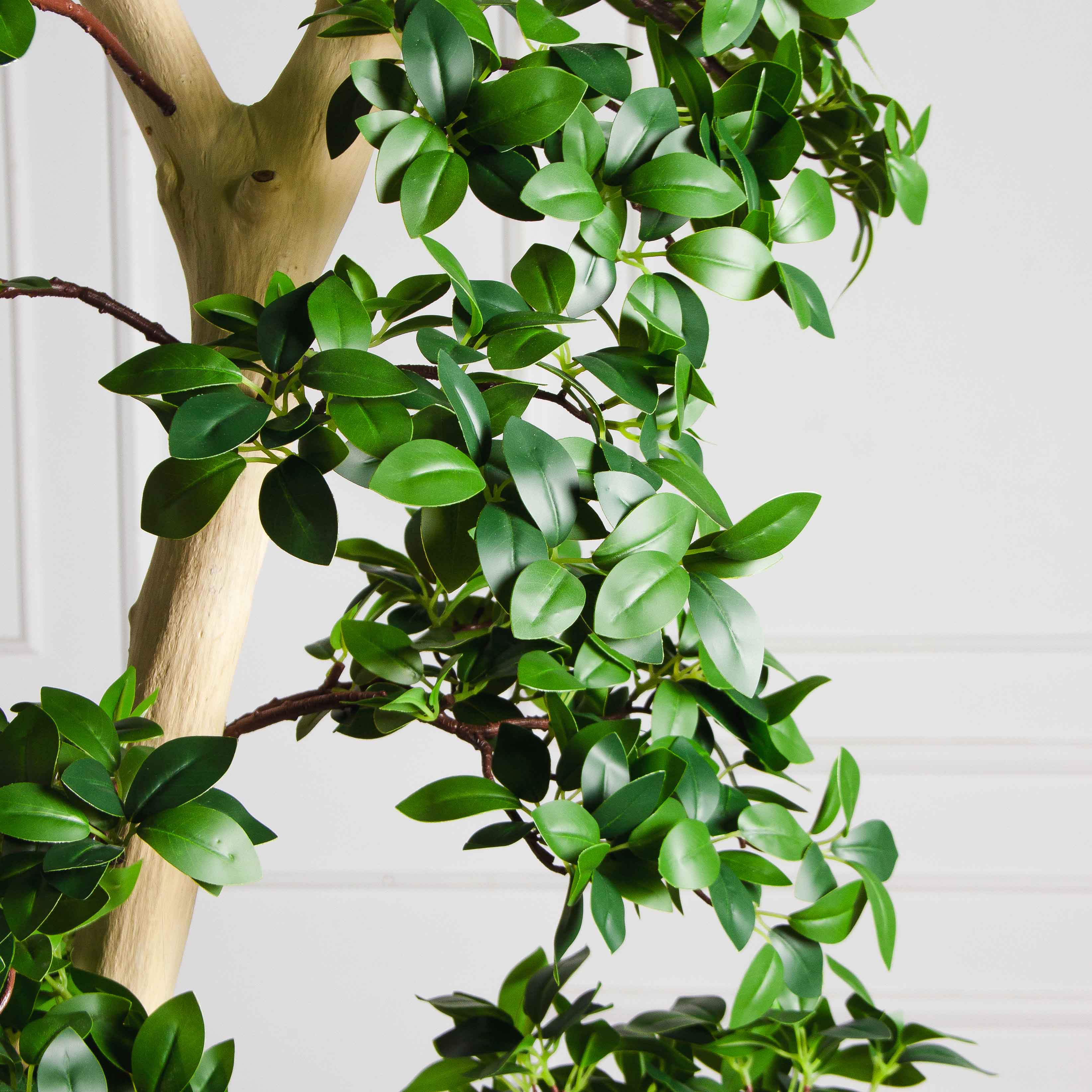 БЛ240Пр/ДА/516(з)(F) Бонсай искусственный Фикус Микрокарпа пристенный h240см (латекс) в кашпо_5