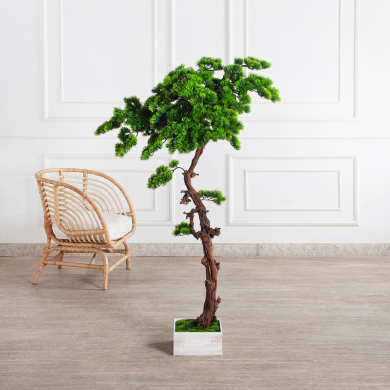 БС150/ОС/30-8(з)(Пр)(F) Бонсай искусственный Сосна h150см в деревянном ящике 25х25х12см_1