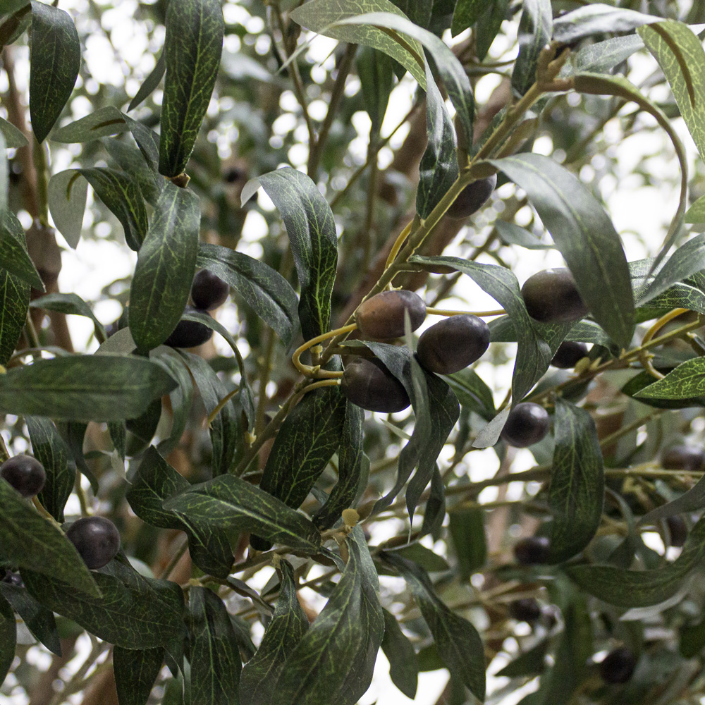 300разб/465(Fix) Оливковое дерево Премиум разборное h300см(h160см от пола до начала кроны)_10