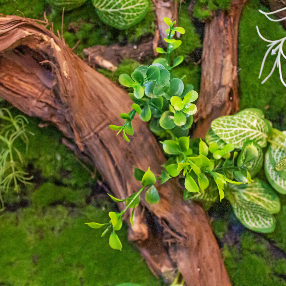 Фитостена 137_4