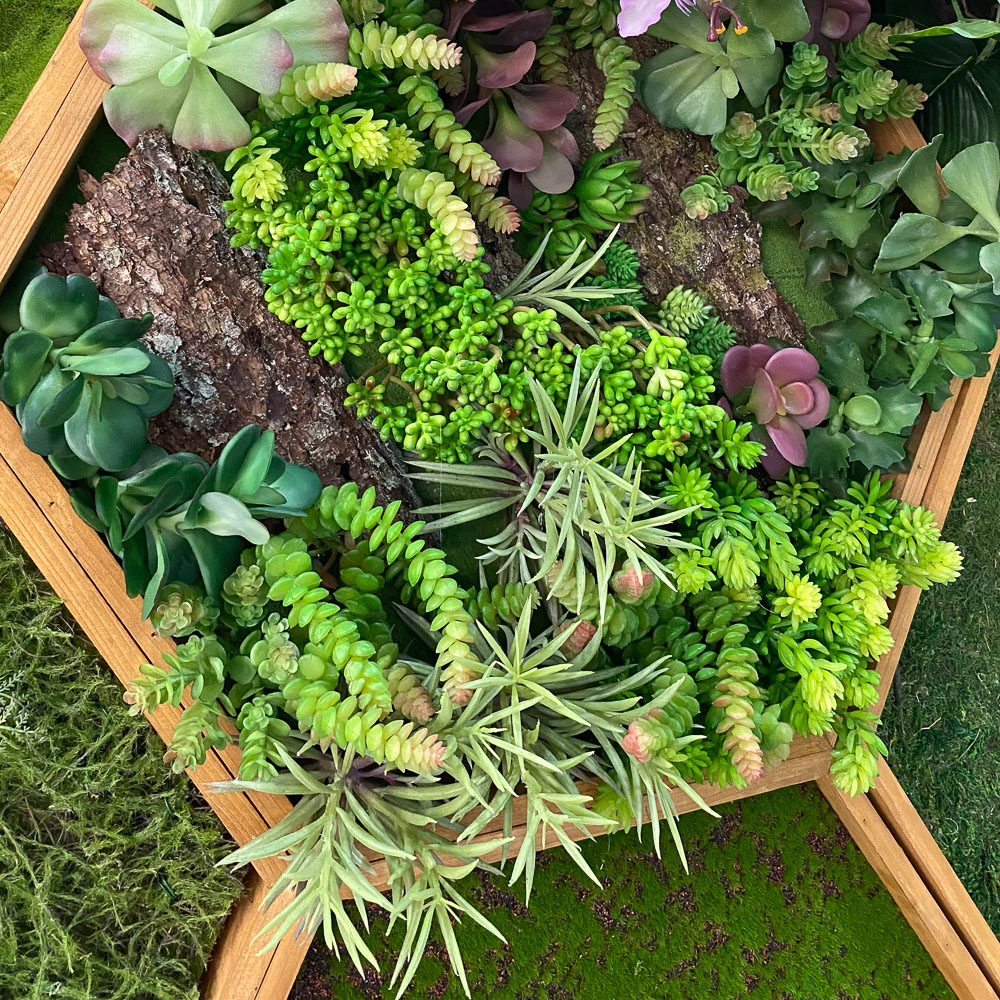 Фитостена 101_2