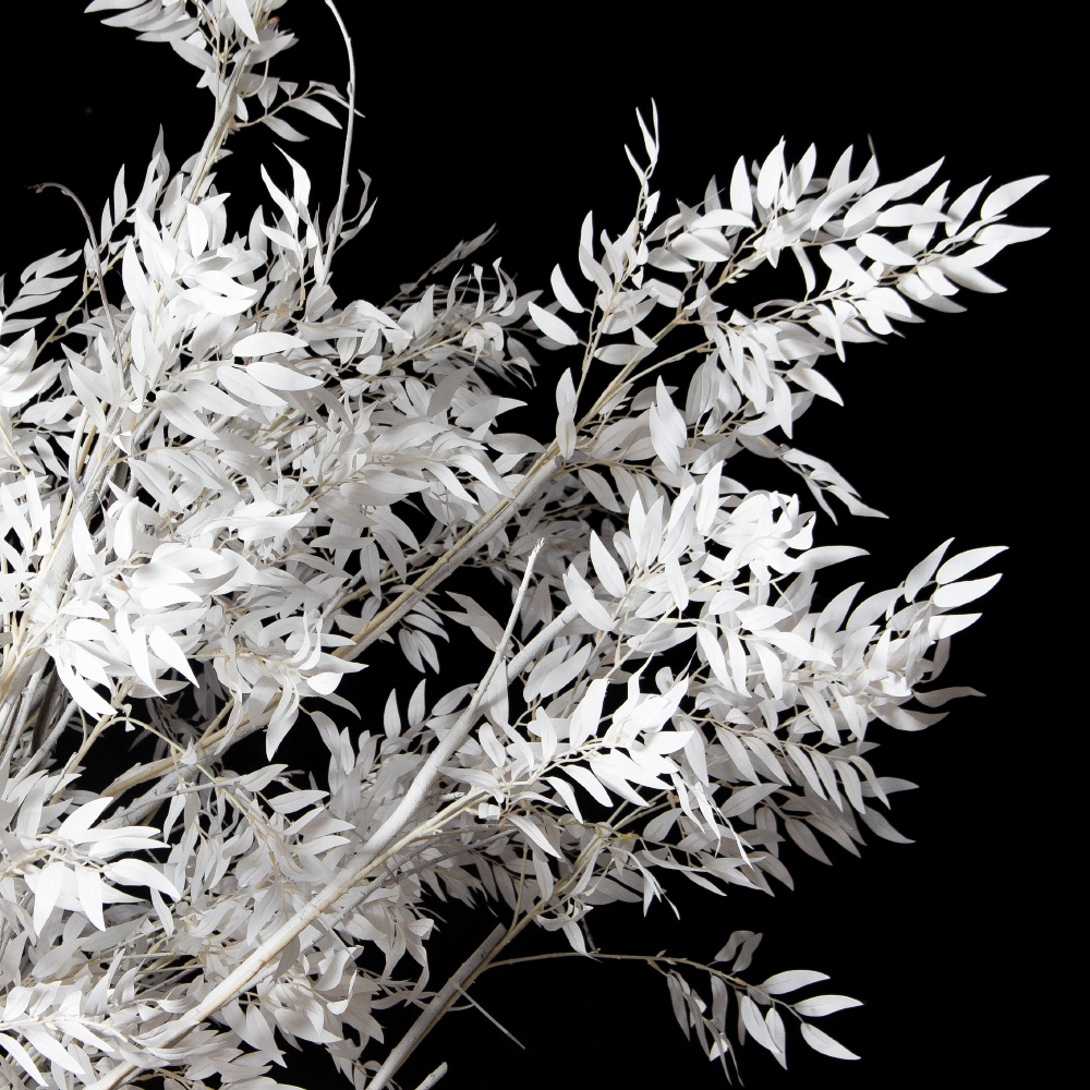 310Гбст/разб/РН/652(F) Ива интерьерная зимняя h310см d290,белая_5