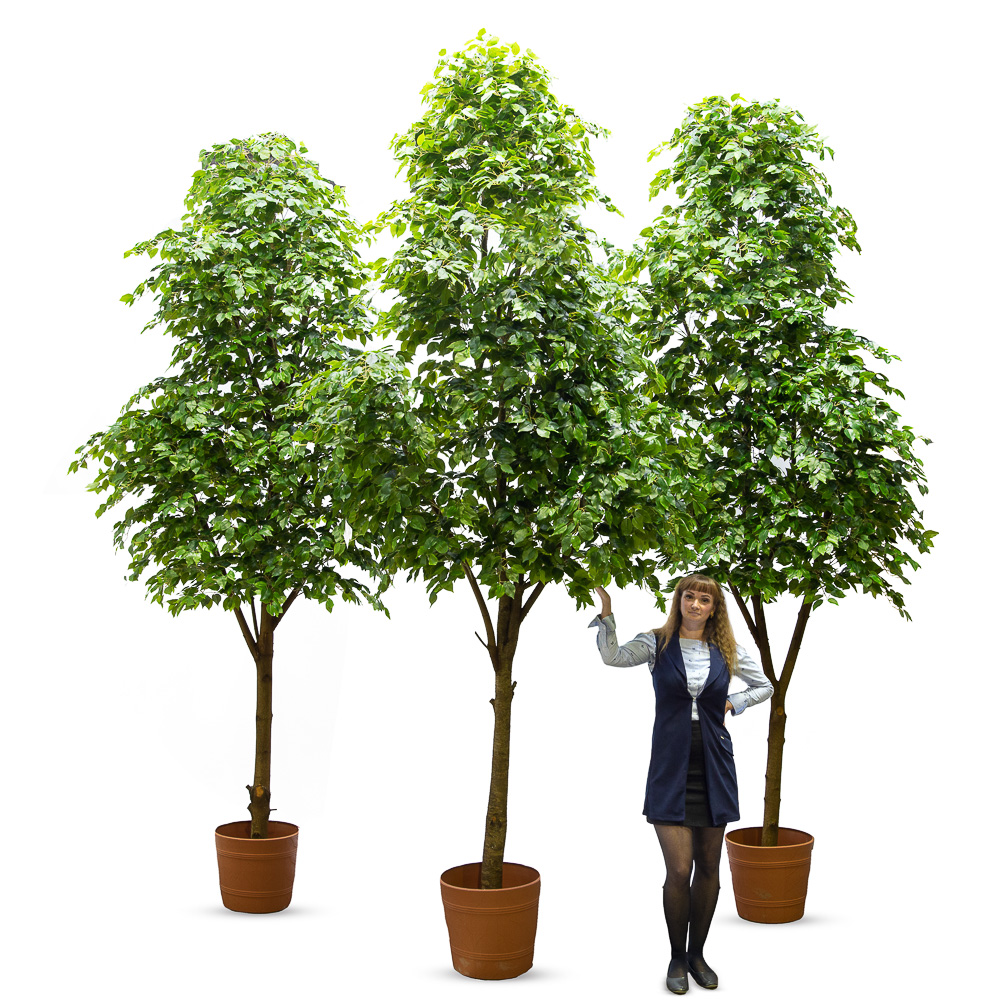 400Разб/РН-П/34(з.) _3