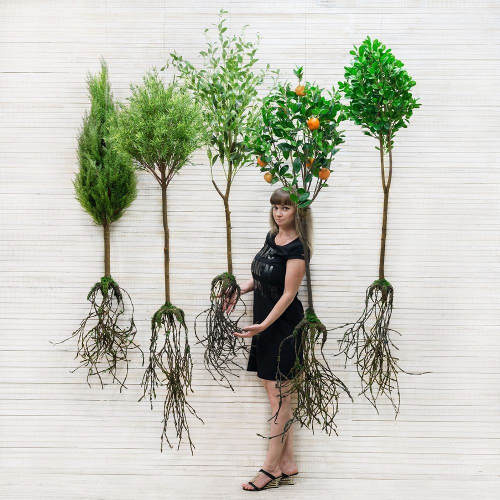 КД120/202(з) Дерево декор узк.лист с корнями_5