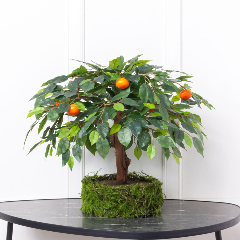 БП040/10М-1(з) Бонсай искусственный Мандарин плодовый (латекс) h40см в кашпо мох-ряска