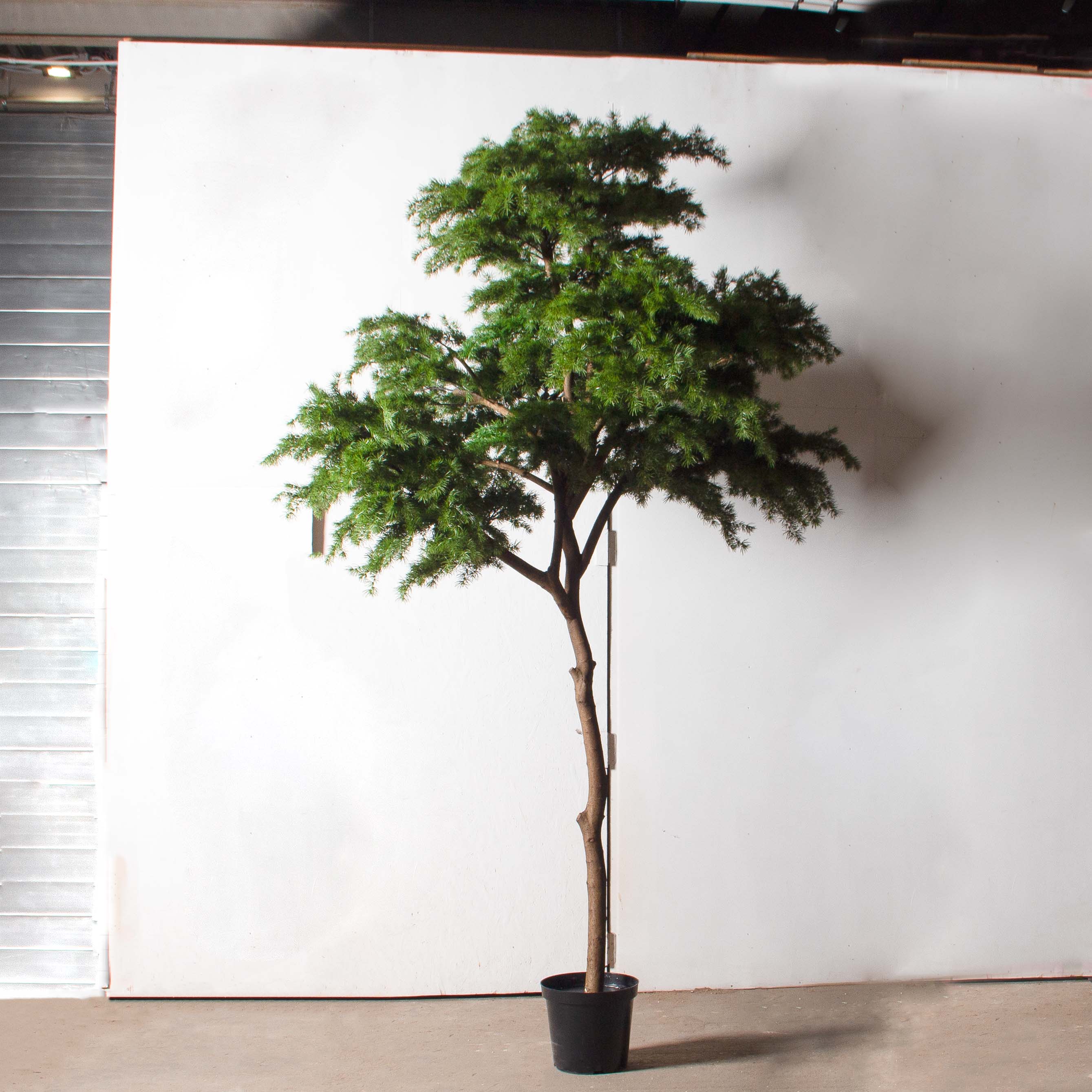 340/РН/310(з)(УУ)(Пр)(F) Лиственница искусственная h310см, d200-210см_3