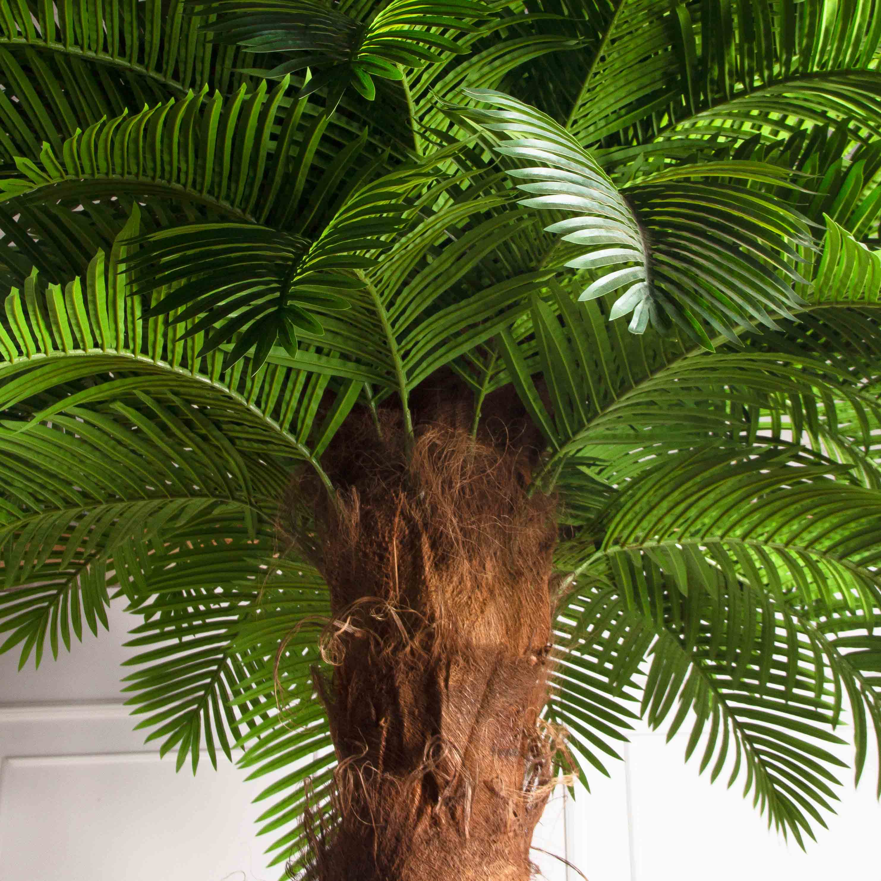 ПС350Разб/ТР/49Люкс(Пр)(F) Пальма Арека искусственная h350см (латекс) на мет.основании_10