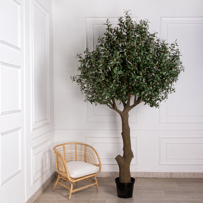 300разб/465(Promo) Оливковое дерево Премиум разборное h300см_16